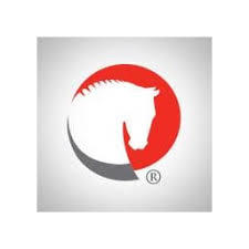 Jackson National Life Insurance logo